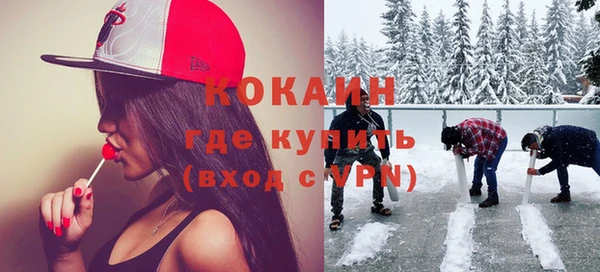 винт Алзамай