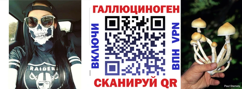 Галлюциногенные грибы Psilocybe  Фурманов 